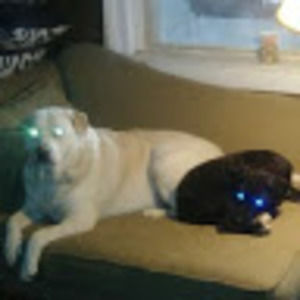 Meet your Posher, Calder